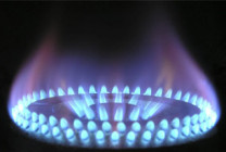 Production of biogas in the Czech Republic
