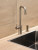 Reginox kitchen faucet Reginox Crystal gun metal